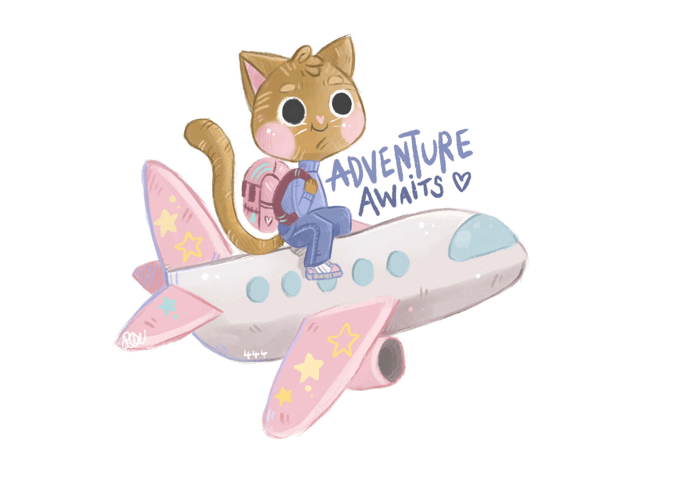 Tora on a plane